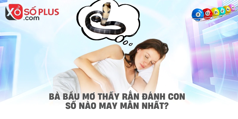 Bà bầu mơ thấy rắn đánh con số nào may mắn nhất?