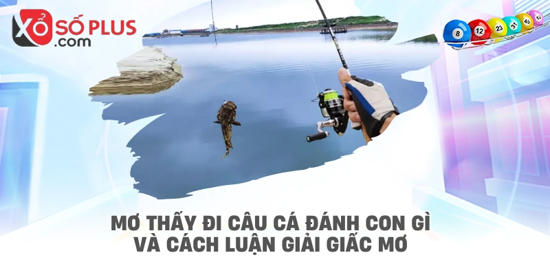 Mơ thấy đi câu cá đánh con gì và cách luận giải giấc mơ