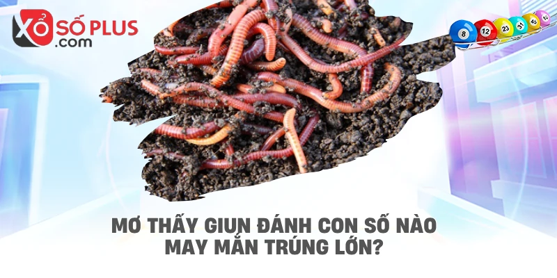 Mơ thấy giun đánh con số nào may mắn trúng lớn?